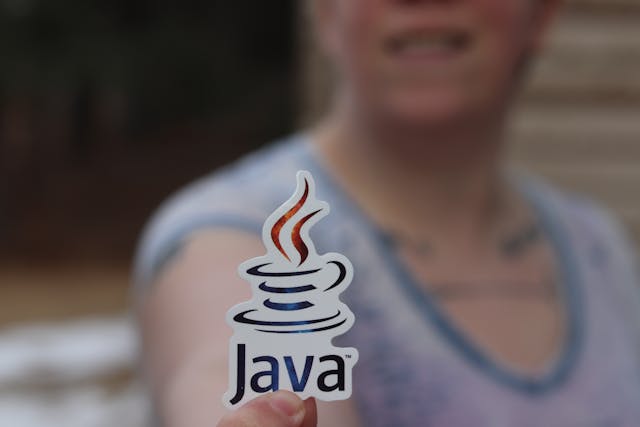 history of Java programming language